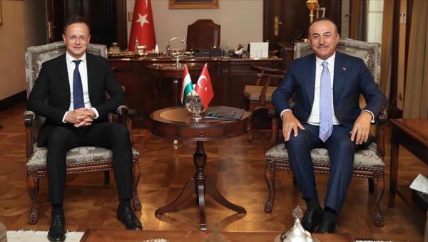 Macaristan ve Türk dünyası